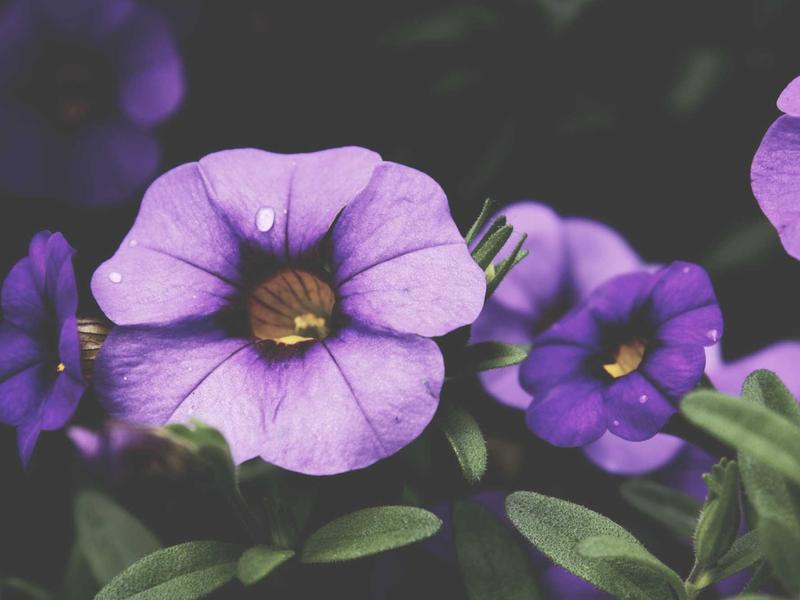 sudoku thinking game screenshot 1